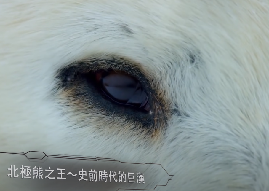 探秘考古中的那些奇怪的发现!
