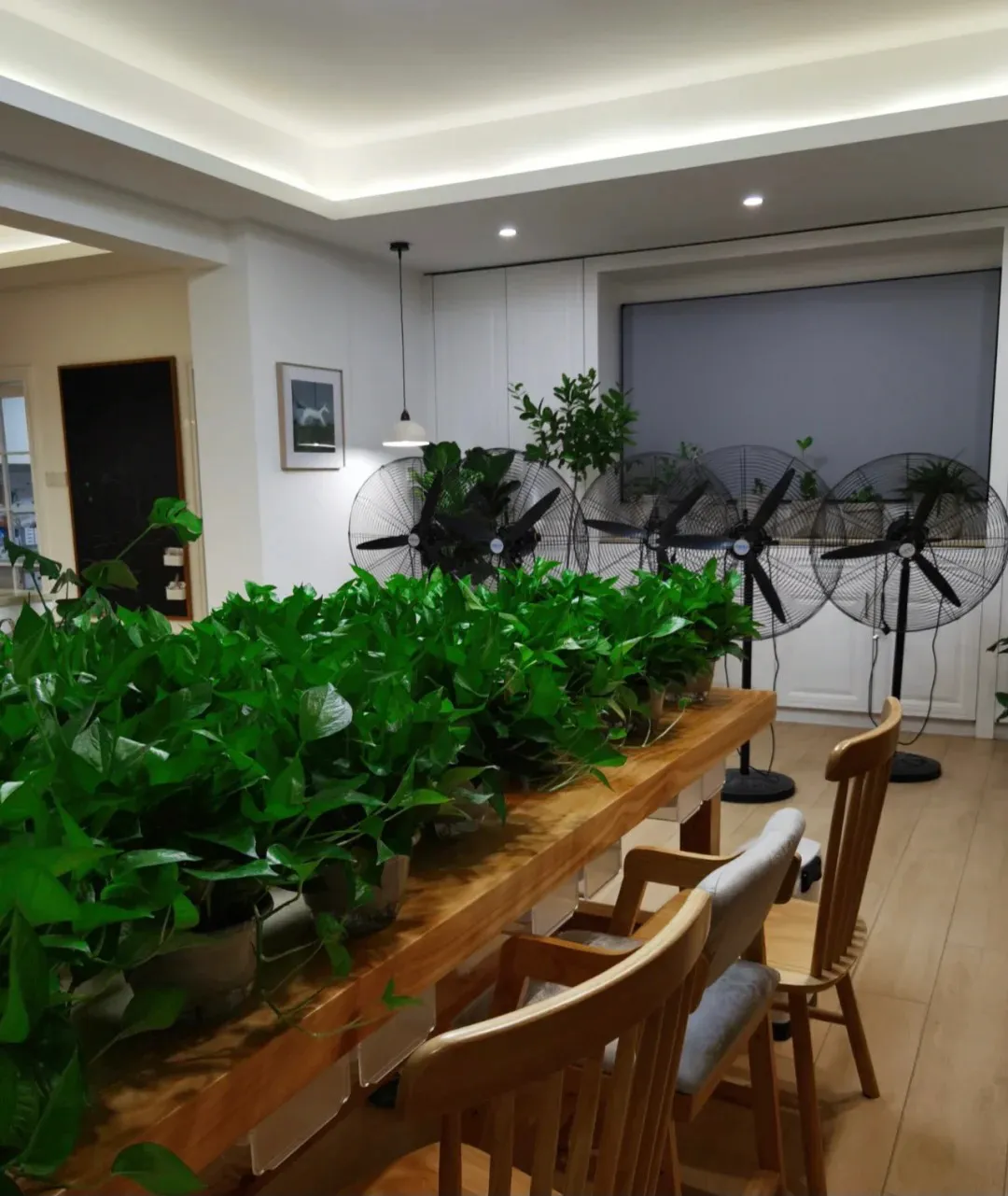 畅谈装修 装修完后要先关紧门窗，这样真的对装修有好处吗？来听听大实话