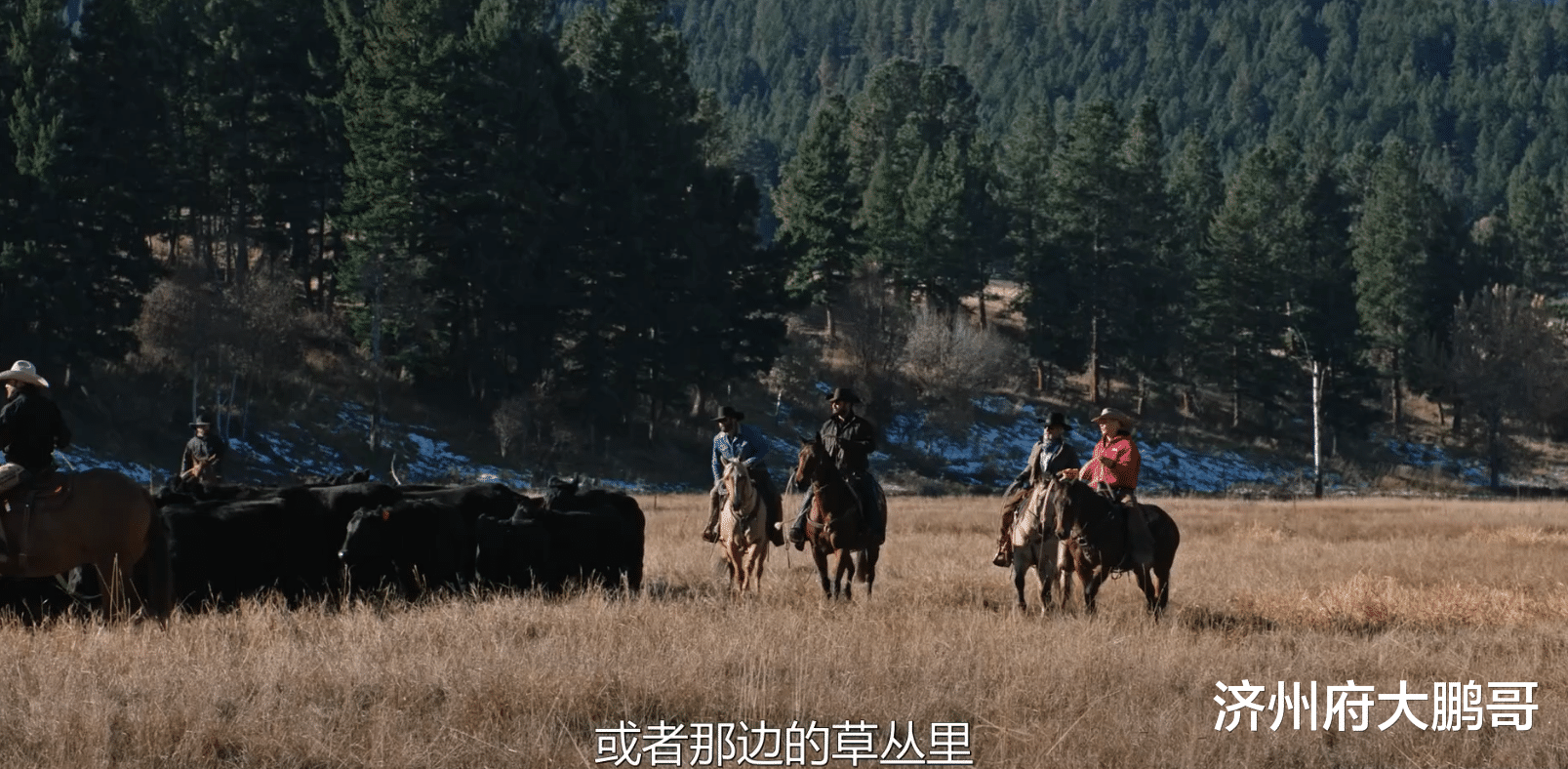 黄石|美剧《黄石》经典角色之一，弱鸡吉姆，却是爱情事业双丰收