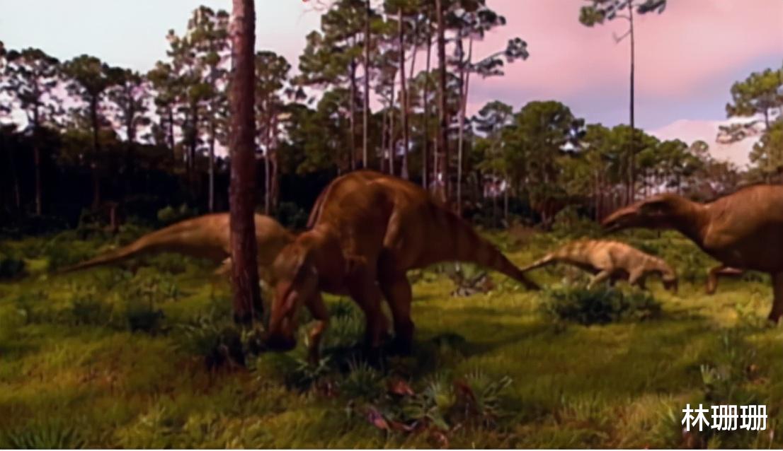 群星|动物广翅鲎：专吃海洋“浮尸”，4亿年前最先登陆地面的动物