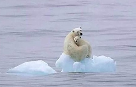 恐龙 地球持续升温,最终会怎样,人类会和恐龙结局一样吗?