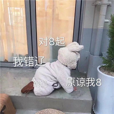 桉月|表情包：让别人马上原谅你的可爱表情