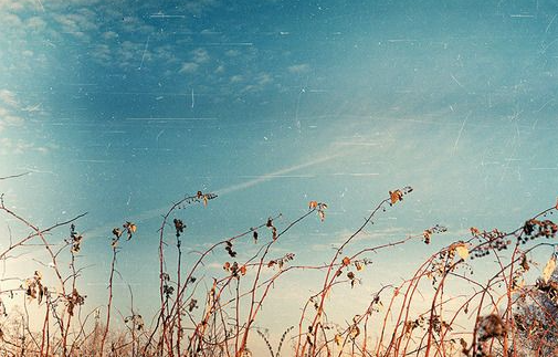 知一先生|女孩起名：天姿绝色、眉清目秀的女宝宝名字