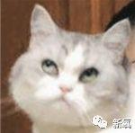 带货|赵丽颖这个车祸现场，半个娱乐圈也只有刘涛能教她了…