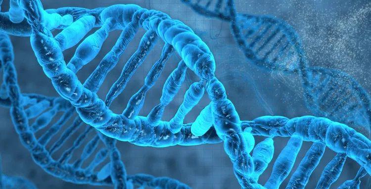 癌细胞 地球人到底是从哪里来的？科学家在研究DNA时发现其中的奥秘