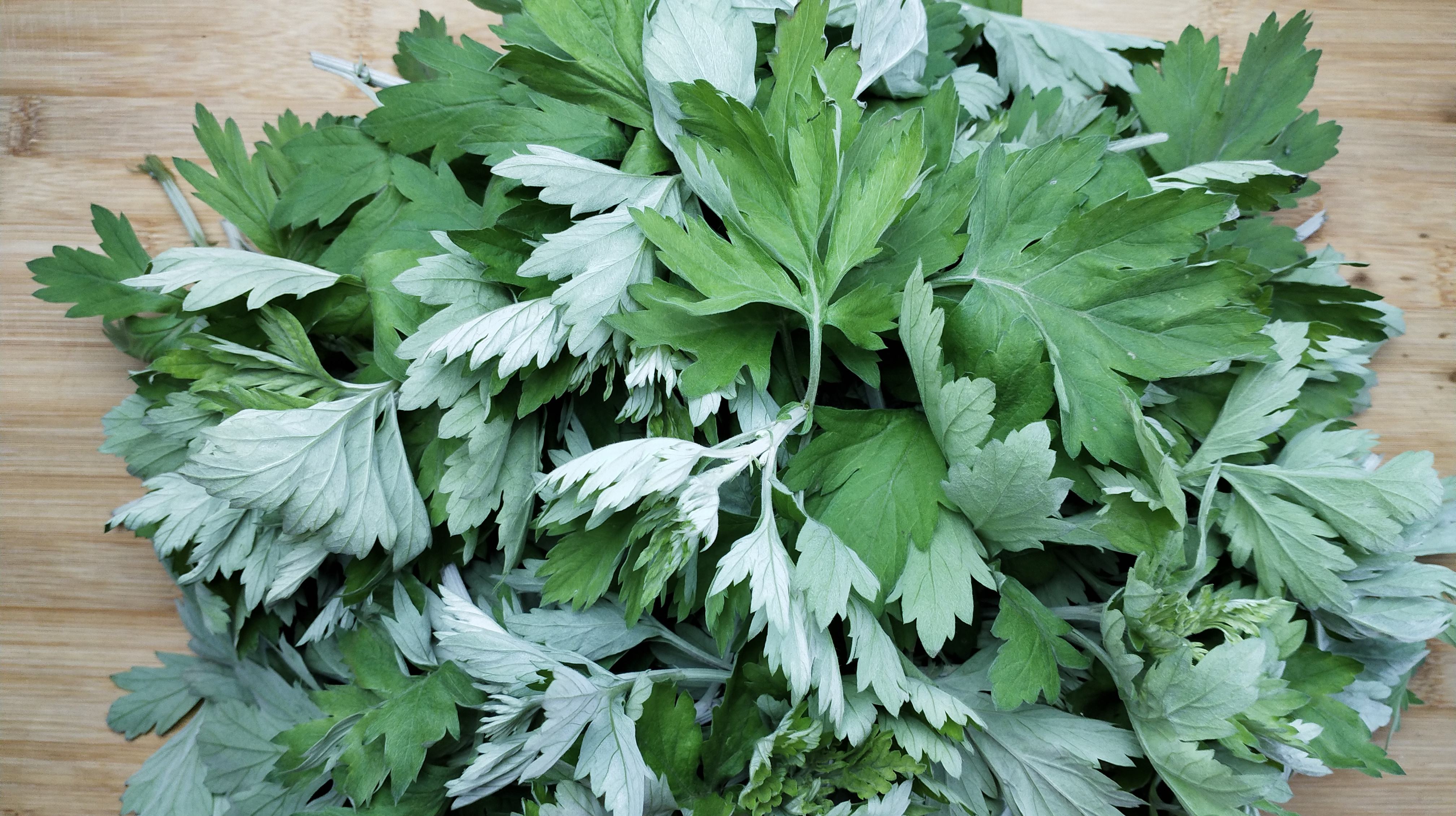 野菜|女人养子宫，就是在养生，同时也是在美容，4种野菜，呵护子宫