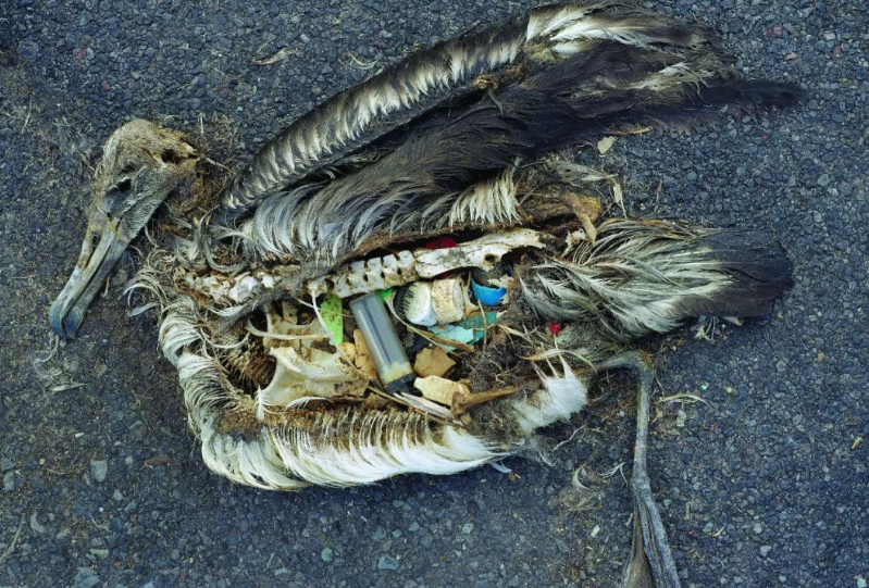 科学家 海洋最深处有什么？科学家水下1万多米发现奇怪物质，警钟已敲响