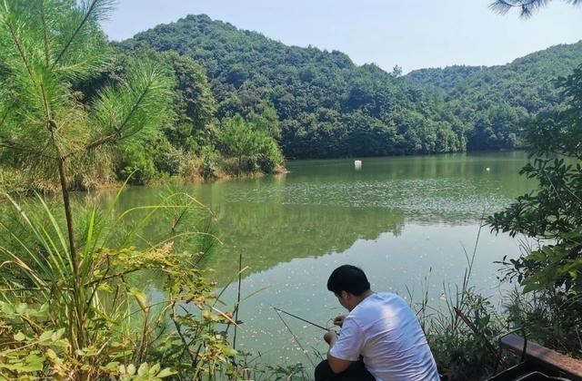 饵料|学会调漂反而钓不到鱼了？别误会，那是因为你只学了一半！