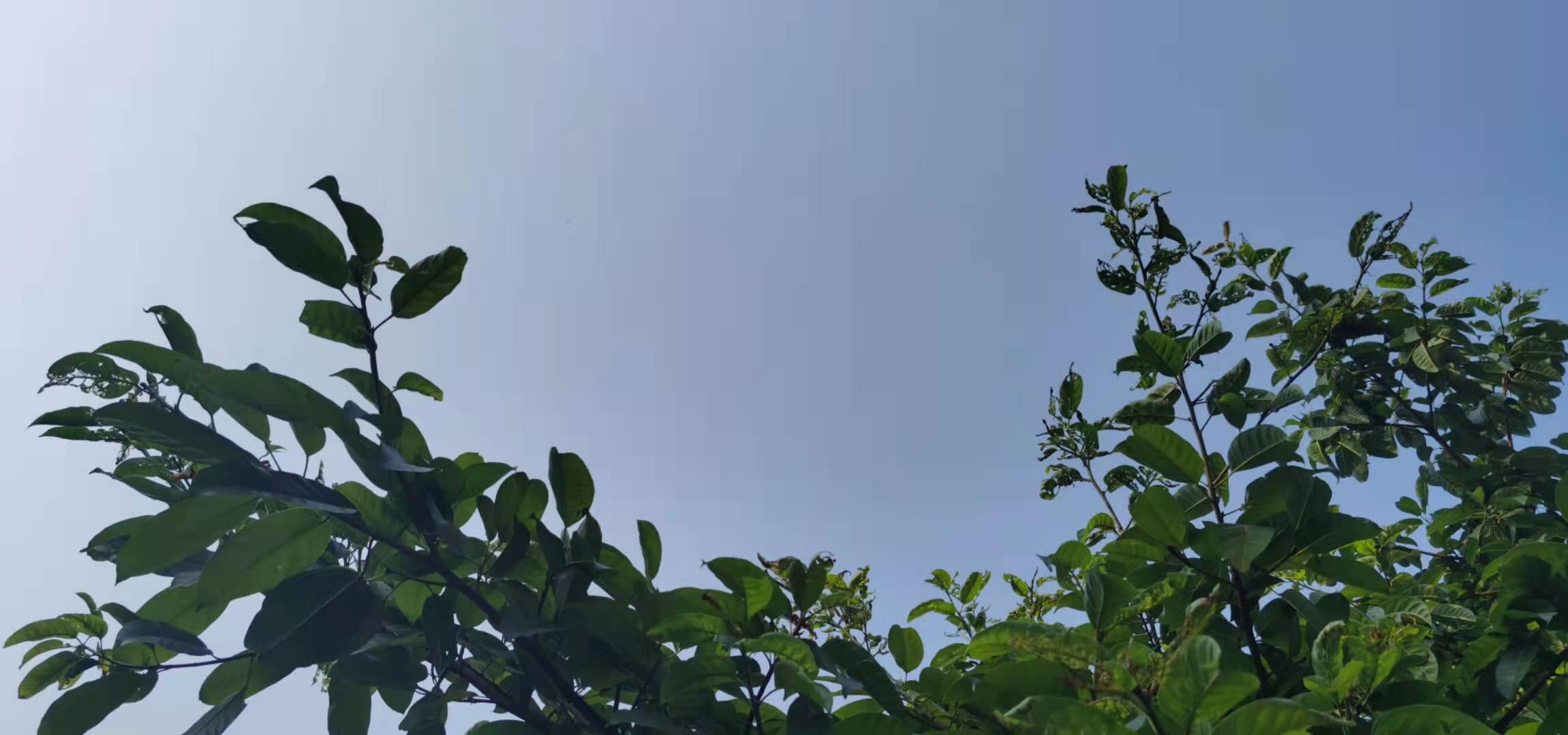 瑜峰|妻子出轨老公的上司，老公最终还是选择了挽救