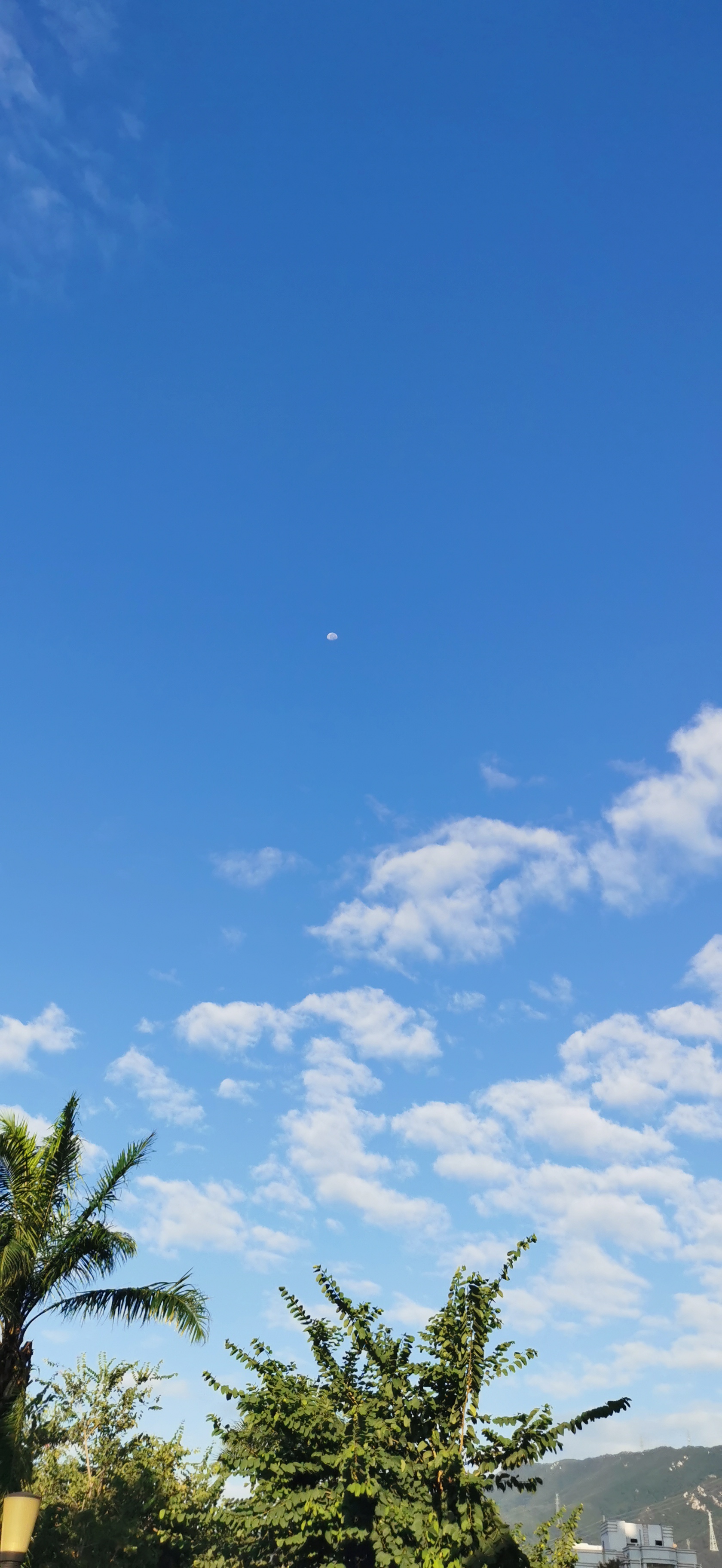 蔚蓝的天空中又出现日月同辉的景象