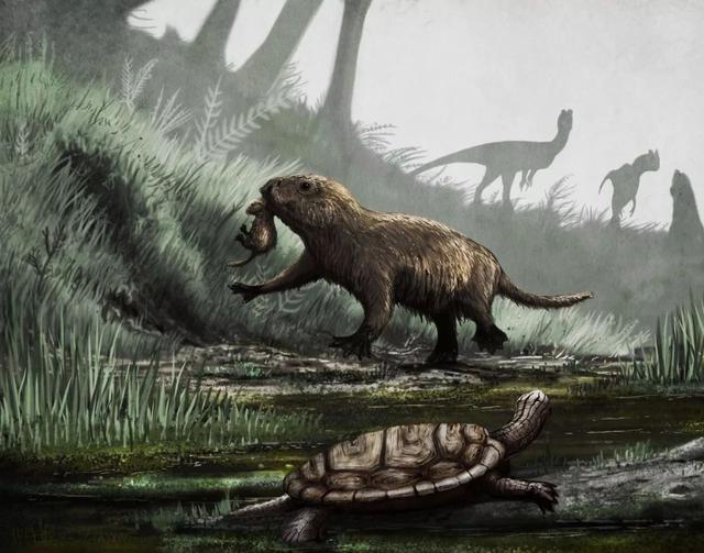 史前生物谜案:恐龙灭绝的原因,为什么如此难以破解?