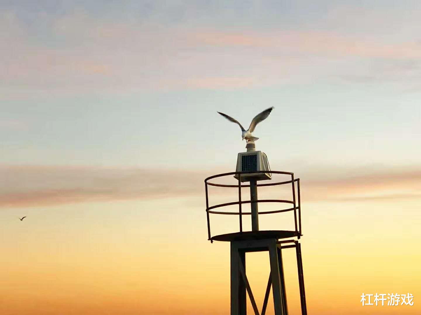 昆明|股价大跌！爱奇艺会员减少、亏损扩大，如何走出“迷雾”？