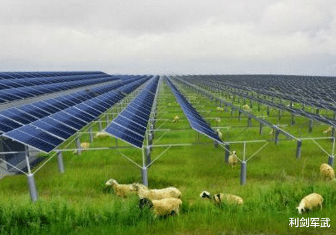 利剑军武 全世界都解决不了的难题,中国靠放羊就轻松化解,西方心服口服