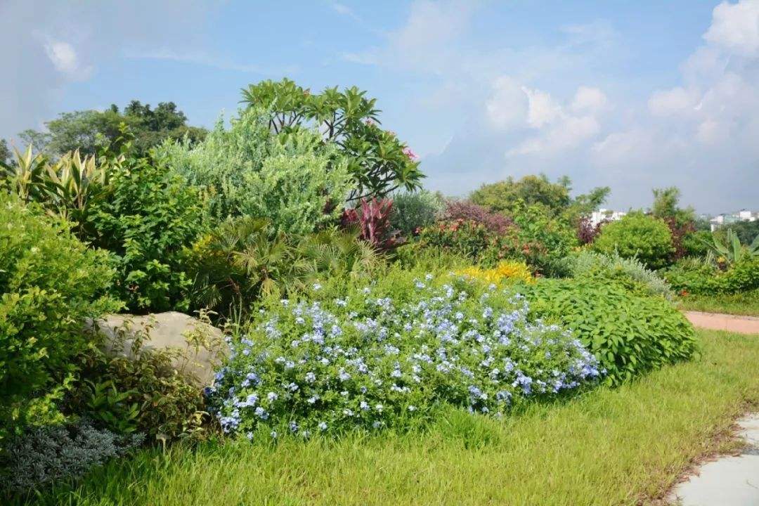 打造一块花境需要注意些什么?花境设计要求有哪些?