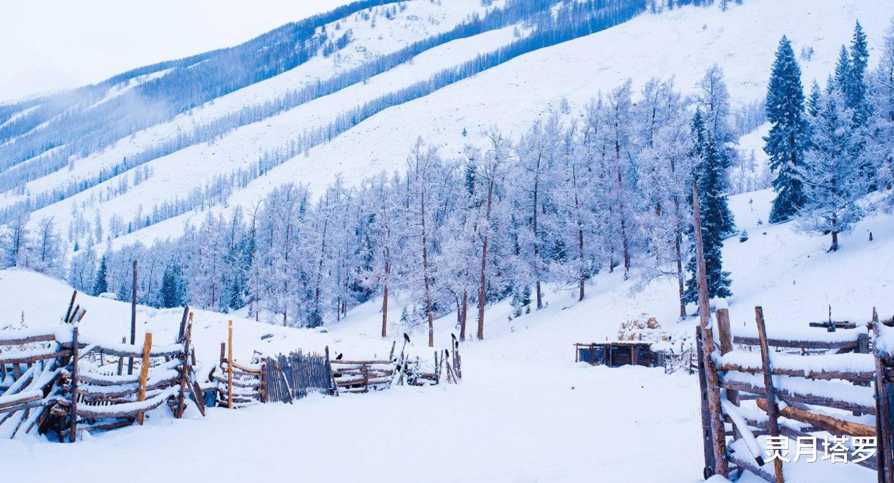 灵月塔罗 灵月塔罗：天秤座10月下半月情感，好好地观察之后，再做出决定