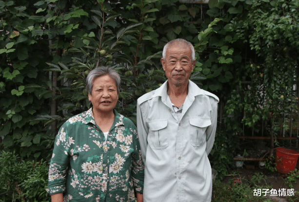 胡子鱼情感 再婚老人拿出前夫衣裳给现任穿，65岁丈夫：离婚吧，我不是替代品