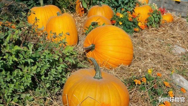 时尚好物官|提醒：年过45岁的女性，建议多吃4类食物补充雌激素，加1运动更好