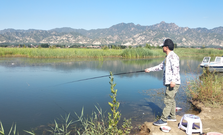 |野钓鲤鱼,要以守为主,灵活应变