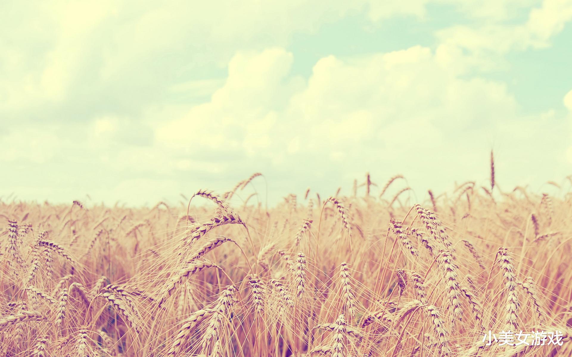 小美女游戏 街边老人小贩该帮吗？遇到这样的街边奸商你会怎么办？