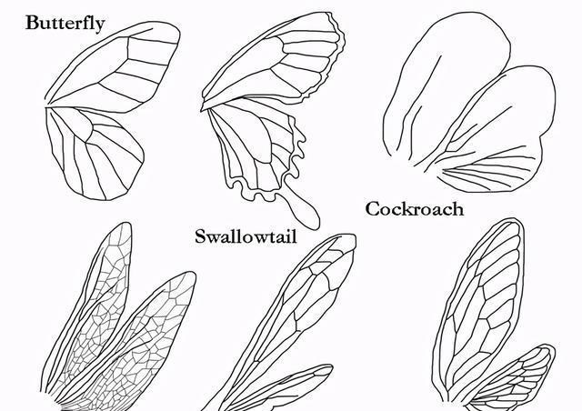  为什么人类用手打不到苍蝇，而用拍子却可以？