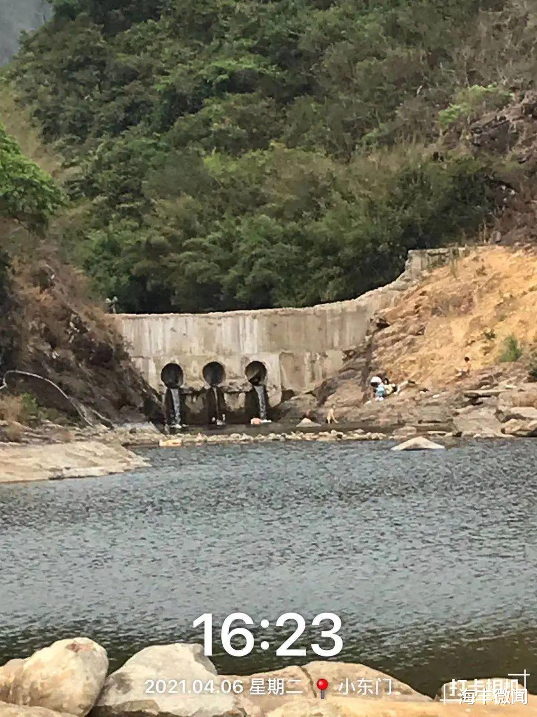 海丰微闻 海丰莲花山大东门惊现双蛇共舞，野泳要注意了！