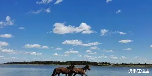  人民币在蒙古到底有多好用？中国游客：一百块钱玩到不想走