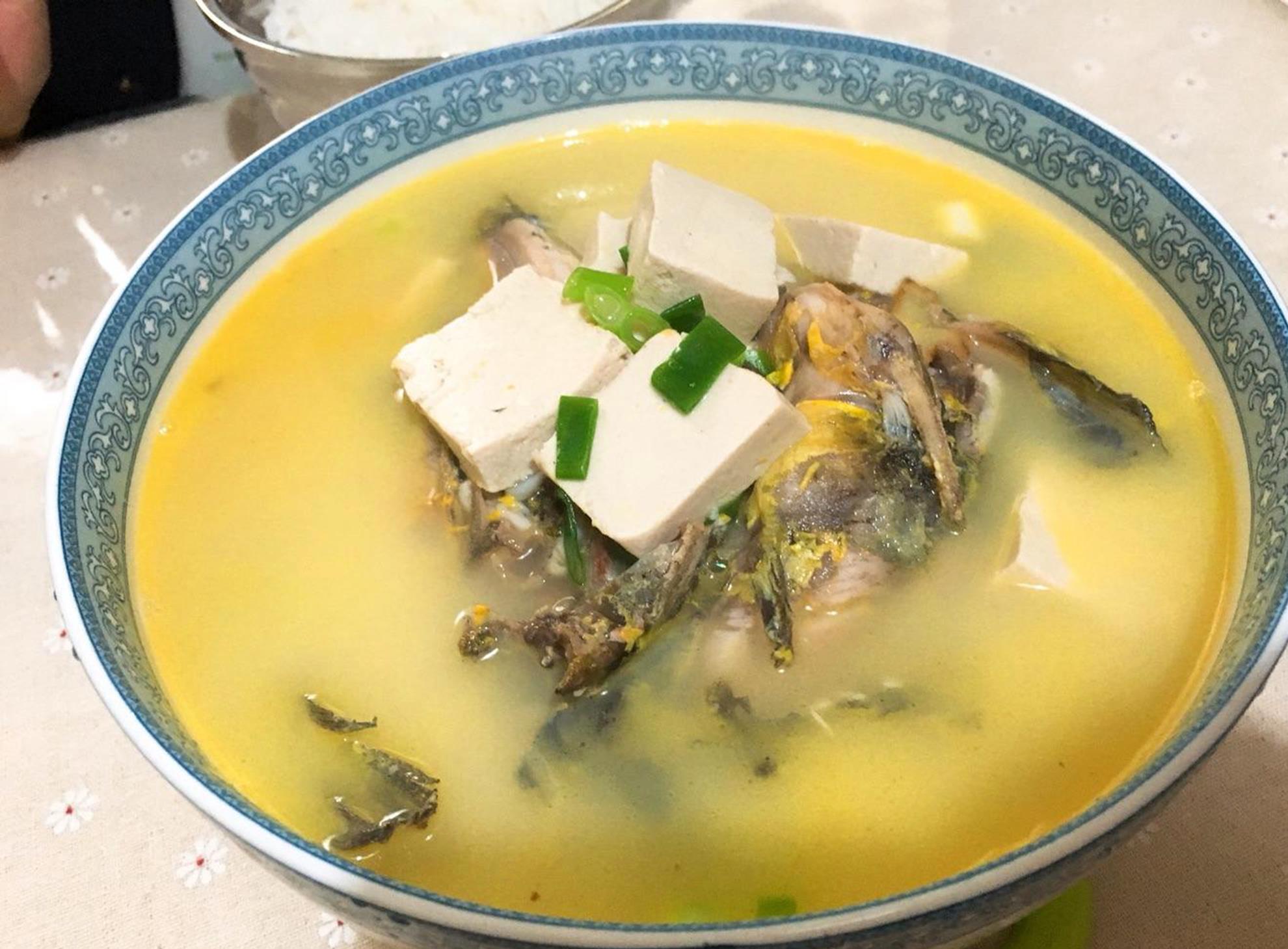 饵料|上佳补品黄颡鱼，用对作钓技巧很关键