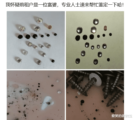 “我怀疑前租户是一位富婆，有没有专业人士，速来帮忙鉴定一下哈哈哈”