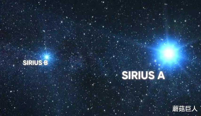 秦始皇帝陵 神秘的天狼人,让人心惊的星空秘闻,人类又一次迷茫?