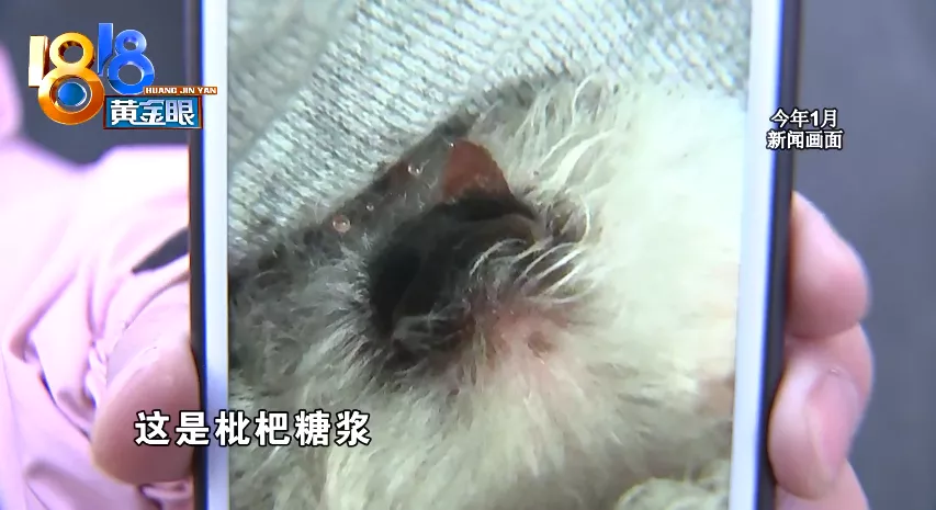 杭州 消费者怀疑买到“星期猫”，找上门发现是“老朋友”了