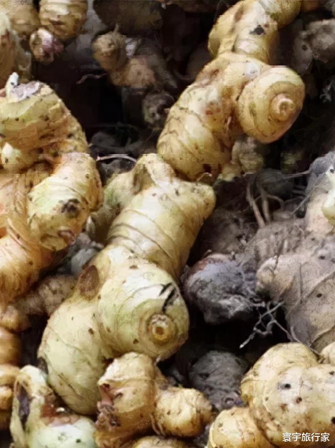 许可馨|约吗？《长津湖》取景地——寒山湖神还原，走出电影，来一场红色之旅！
