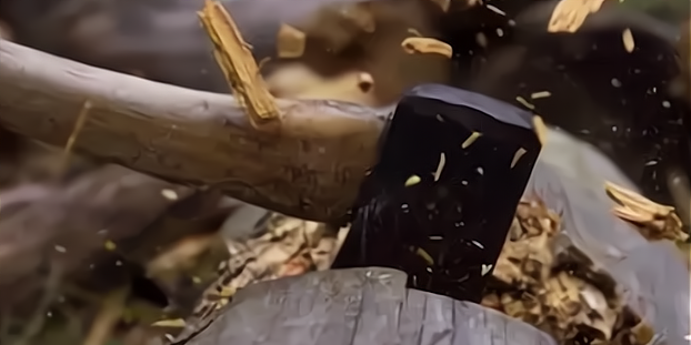 教教你家娃|农民砍自家树买，为啥要被罚款上万元？自己种的树也不能砍了？