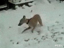 神武星人 “女同事深夜发来自拍照让我帮忙去黑眼圈, 这到底是什么暗示？”哈哈哈