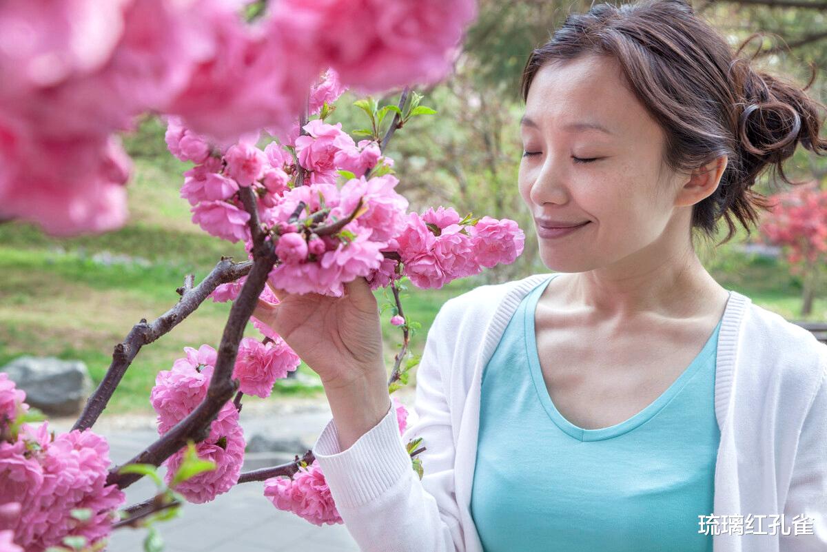 琉璃红孔雀|家宴上，大姑姐把喝剩的汤倒回锅里，弟媳拂袖而去：这饭没法吃