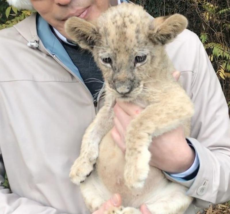 高贤廷|被豪门“放逐”，高贤廷五十岁演戏忙，留在夫家的儿女只知继母好