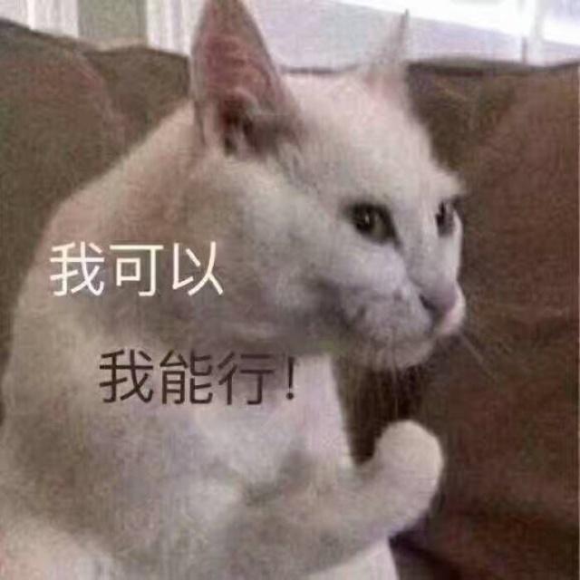 求职|考教师编制第一学历重要吗？高学历是未来趋势~
