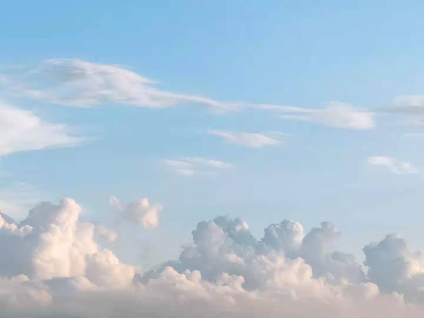 蛋白质 五只小狮子