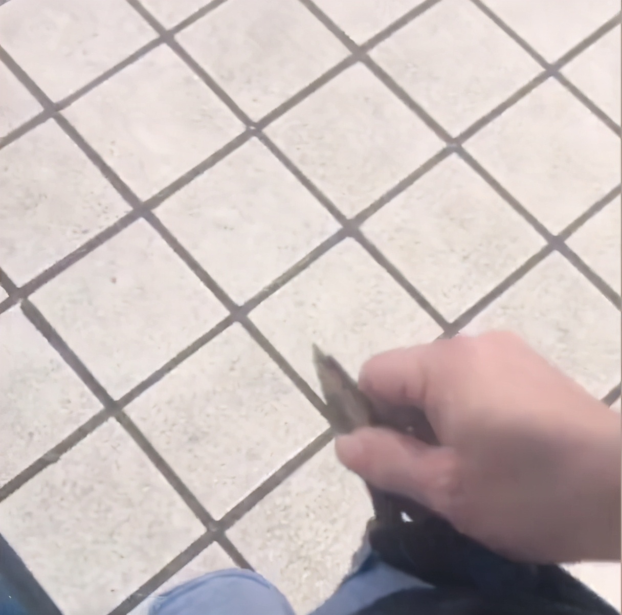 掌上社评 怀疑买的水产有“猫腻”，男子拿剪刀戳破塑料袋，水从洞内喷涌而出