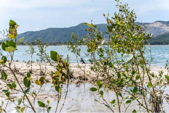 诗意中国 “生命之眼”520献礼地球母亲的真爱之礼