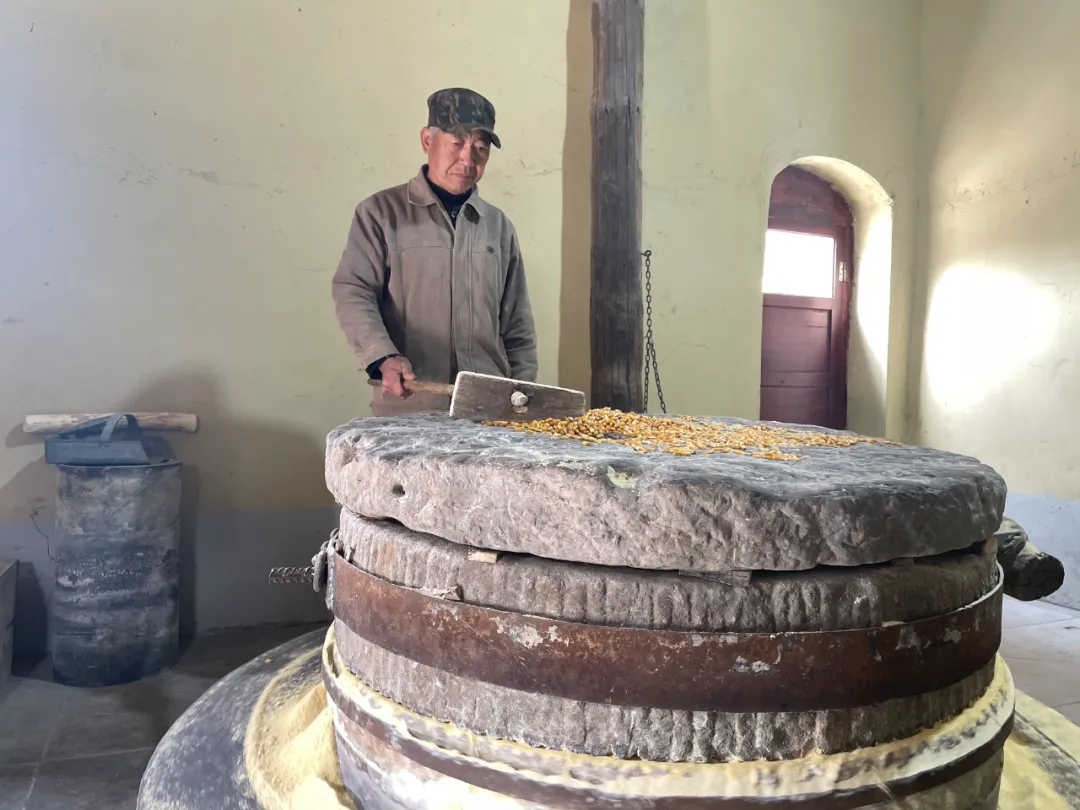 石家庄日报客户端 石家庄71岁老人在河边守了一辈子，只因心里放不下这件事