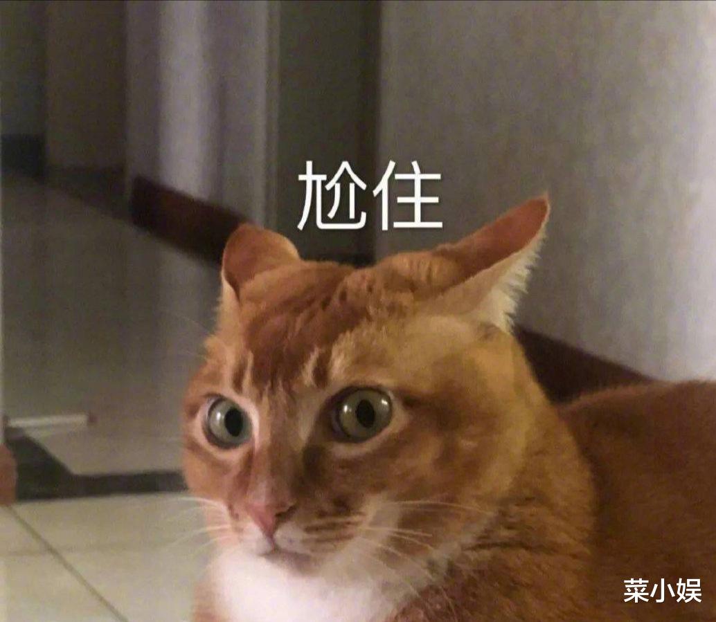 白娘子|白素贞发际线高出天际，许仙眉毛出戏，这部《新白蛇传》太扯了