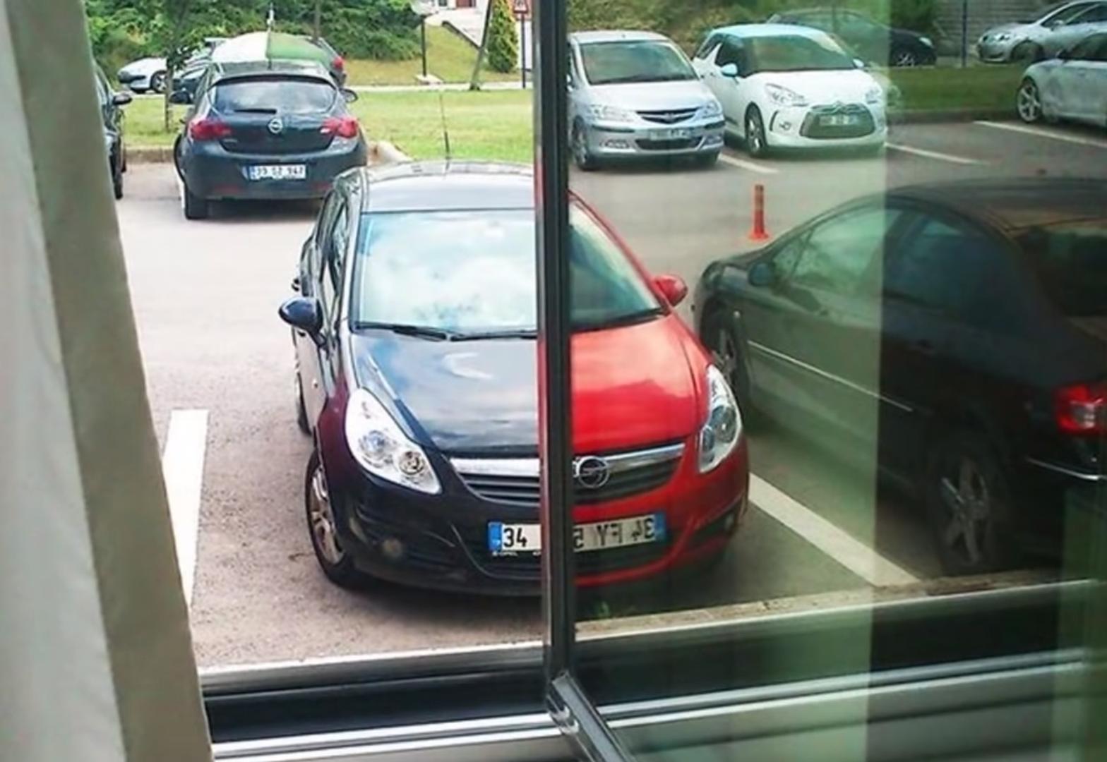 海之归墟|29张难以置信的巧合照片，拍下它的人运气太好了