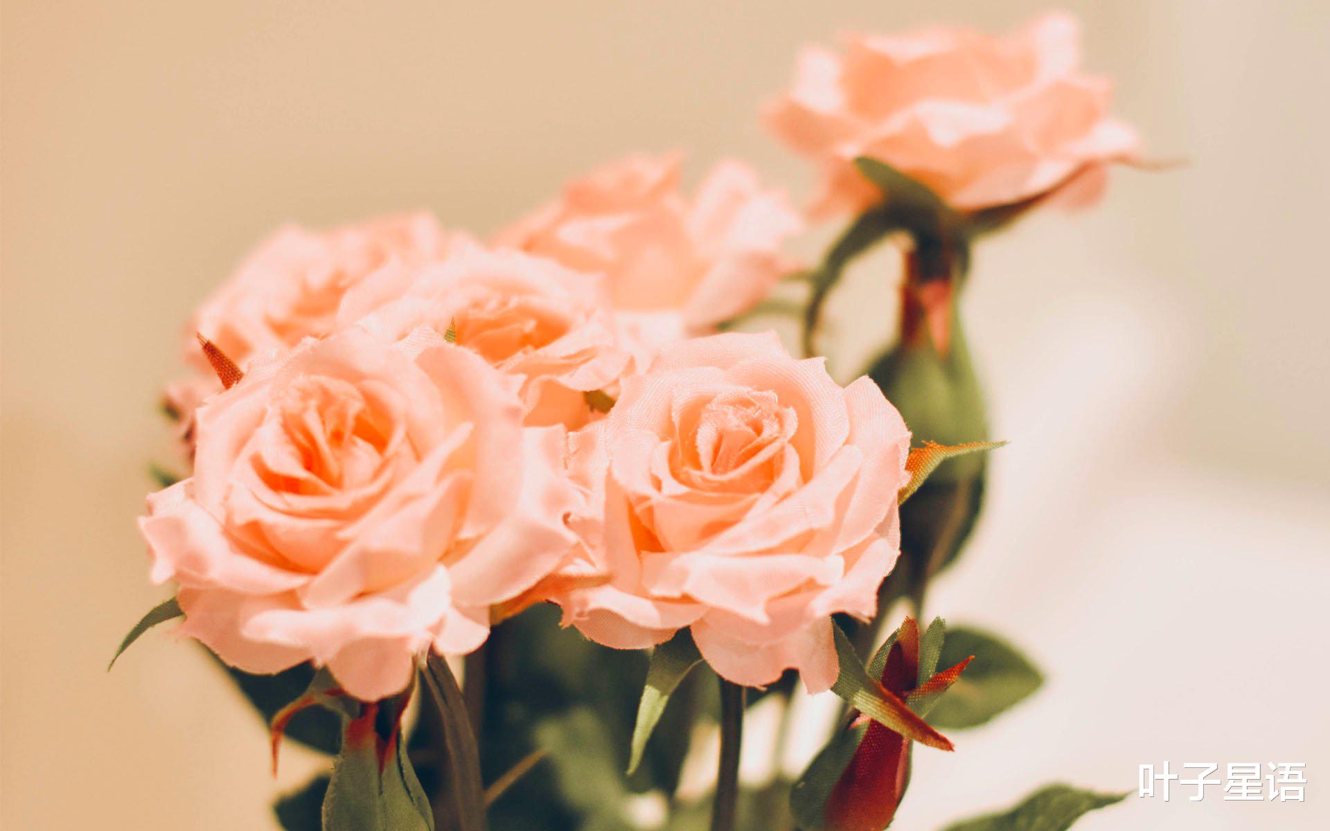 大旺|5天之后，贵人降临，这三个星座抓住机会，事业步入正轨