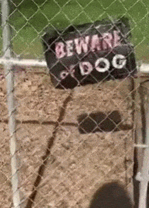 萌控孩|“哥们，你是不是忽略了车窗是透明的？别以为没人看得见！”哈哈