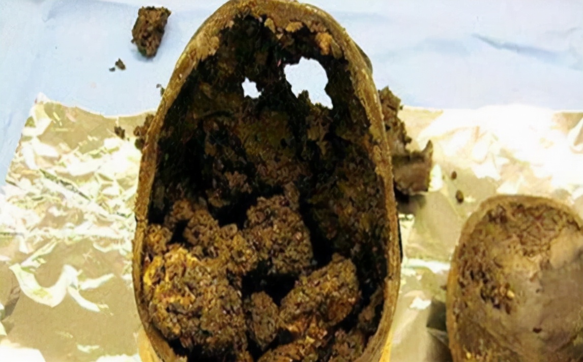2600年前的大脑化石,似乎还有“呼吸”,科学家:大脑神秘无上限