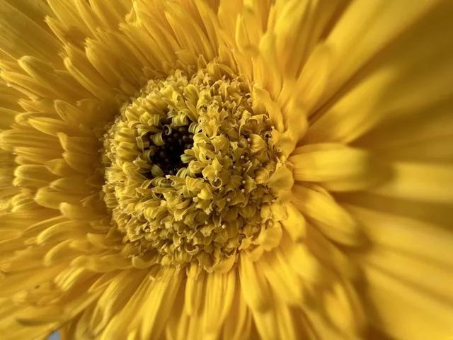 新三板 iPhone真的「十三香」?看完这份更新细节全攻略再下单