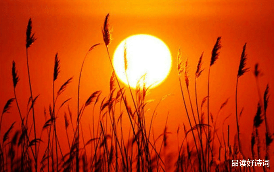 |【新诗采撷】张金虎 | 岁 月（微诗四首）