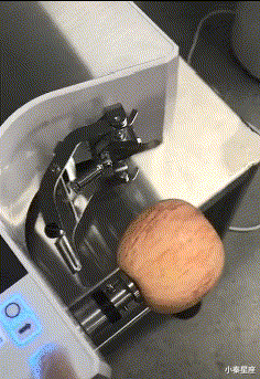 小秦星座|搞笑GIF：本来是个小狗狗，戴上面具变成小猫咪。