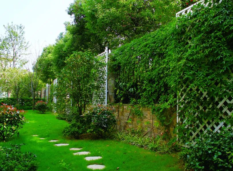 |院子里放置一些这样的创意小搭配,瞬间美成诗