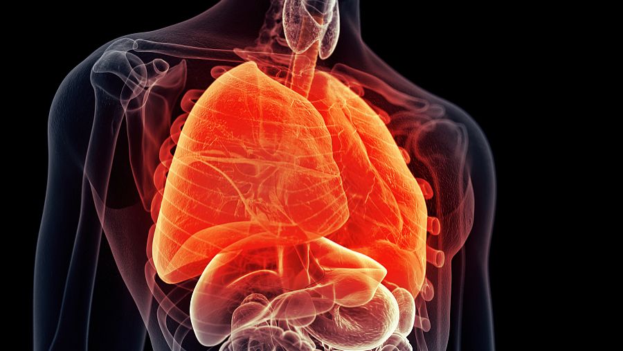 健康无价 肝脏变“脏”了,身体会有哪些变化?14个表现占3个以上,要重视